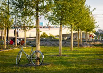 Visuel du pont Simone Veil et de ses berges en rive gauche, avec en premier plan un vélo posé contre un arbre